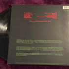 Fishbone – Truth And Soul (LP) - pikkukuva 2