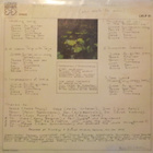 JUKKA TOLONEN - SUMMER GAMES - 1ST.PAINOS FIN -73 VG+/EX- LP - pikkukuva 2