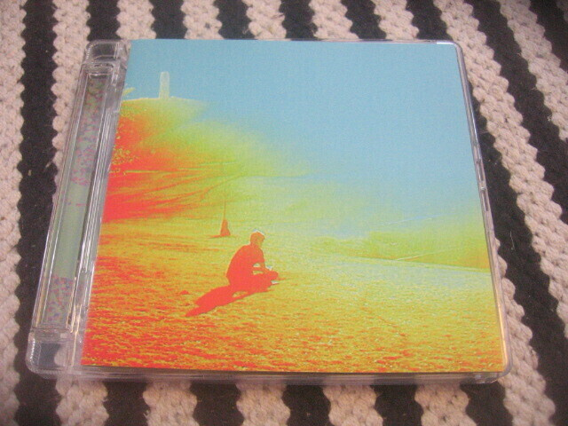 The Flaming Lips - The Terror (+3" cds)