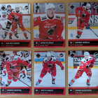 2025-26 Blueline Series 2 Ässät Team Set 12 korttia (373-384 - pikkukuva 2
