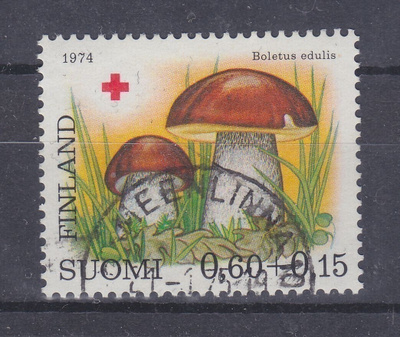 1974 Pr 0,6 mk loistoleimalla.