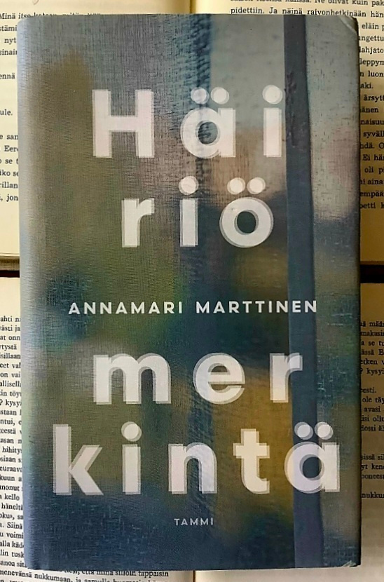 Annamari Marttinen - Häiriömerkintä (sid.)
