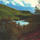 RIVILEIMA KULMIO /LAVIA UTSJOKI KORTTI - pikkukuva 2