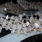 6×1 Mother of pearl simpukka Helmi kaulakoru - pikkukuva 2