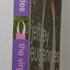 Jeffrey Eugenides - The Virgin Suicides - pikkukuva 2