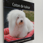 Coton de tulear - pikkukuva 1