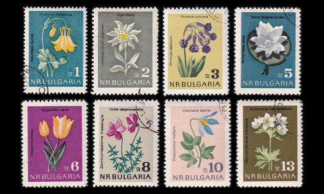Bulgaria 1407-14 o Luonnonsuojelu kukkia (1963)