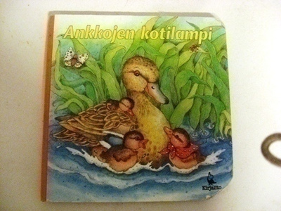 Ankkojen kotilampi