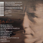 Luka Bloom - Salty Heaven (Folk, World, & Country)  - pikkukuva 2