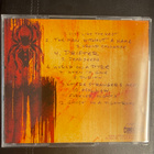 I WALK THE LINE - Desolation Street cd - pikkukuva 2