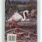 John Karmali : Beautiful Birds of Kenya - pikkukuva 2