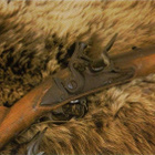 kortti ** Metsästys tai ampuma-ase - erilaisia - pikkukuva 5