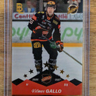 BASE GOLD Vilmos Gallo/KooKoo - pikkukuva 1