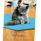 KISSA  °°Kilot kuriin ja kunto kohdilleen!°° -KORTTI /KARTO - pikkukuva 1