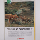 National Geographic vuosikerta 2003 (1-12) - pikkukuva 2