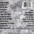 Beastie Boys :  Check Your Head  -  CD - pikkukuva 3