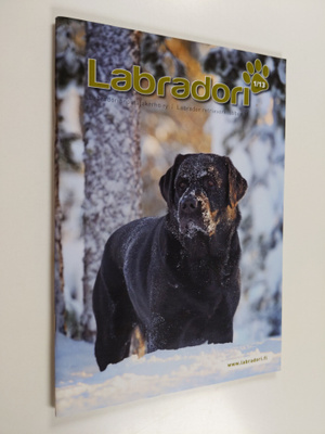 Labradori 1/13