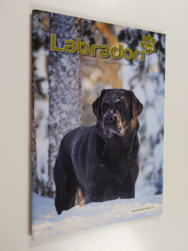 Labradori 1/13