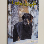 Labradori 1/13 - pikkukuva 1