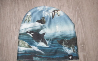 Molo pipo M/L