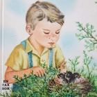 barnbok - peter och fåglarna - pikkukuva 1