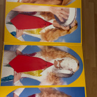 Katy Perry - Smile GF LP PUNAINEN - pikkukuva 3