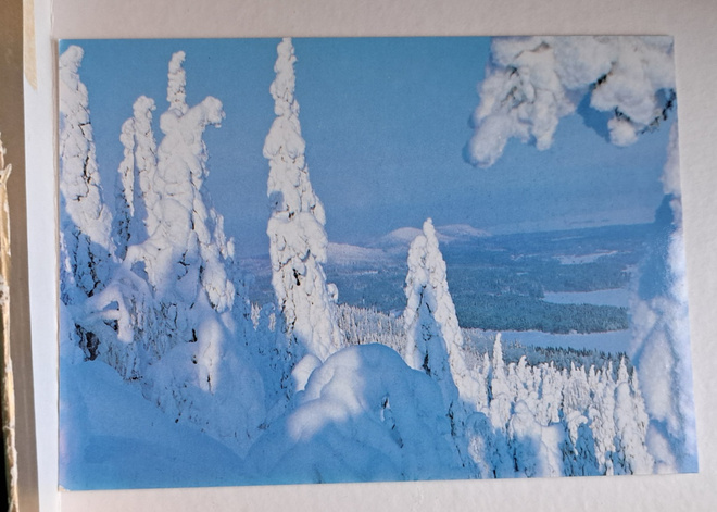 Koli, tykkylunta Ukko-Kolilla, uusi kortti