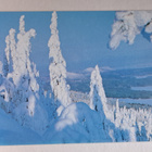 Koli, tykkylunta Ukko-Kolilla, uusi kortti - pikkukuva 1