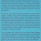 Petri Lehtipuu: Synergia - pikkukuva 3