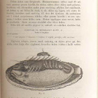 Ch. Em. Hagdahl: Kok-konsten (1879) - pikkukuva 3