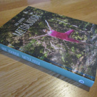METSÄJOOGA Mia Jokiniva * GUMMERUS 2018 * jooga kultti - pikkukuva 3