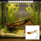 Uniikki akvaariojuurakko 35 cm | 102 - pikkukuva 1