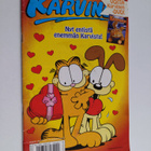 Jim Davis : Karvinen 2/2005 - pikkukuva 1