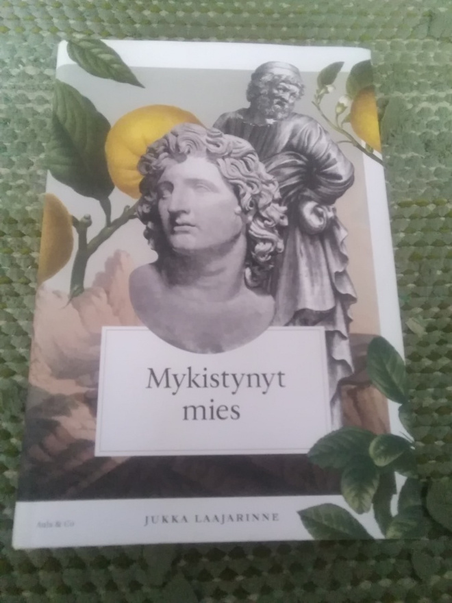 Jukka Laajarinne: Mykistynyt mies