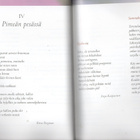 Ritva Bergman: Runokirja Villiruusut - pikkukuva 4