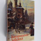 F. M Dostojevski : Karamazovin veljekset - pikkukuva 1