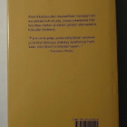 Richard Ford - Naistenmiehiä, kolme kertomusta - pikkukuva 3