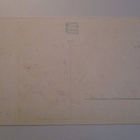 KULKEMATON KUKKAKORTTI 1940- LUVULTA ONNITTELUKORTTI - pikkukuva 2