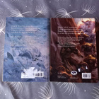 R.A.Salvatore: Metsästäjän miekat osat 2 ja 3 - pikkukuva 2