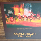 CHAT PILE HAYDEN PEDIGO In the earth again CD - pikkukuva 1