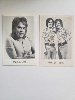 Purkkakuvat Pop-sarja 70 mv 17324 Panda