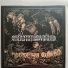 Dead To This World – First Strike For Spiritual Ren...>>[LP] - pikkukuva 1