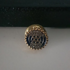 Rotary International Charter Member pinssi  / merkki - pikkukuva 3