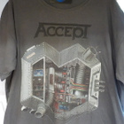 ACCEPT - BEATING SINCE 1985 PAITA XXL-KOKO - pikkukuva 1