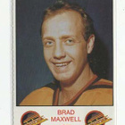 Brad Maxwell Vancouver 86-87 Team Issue - pikkukuva 1