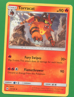 Pokémon Torracat