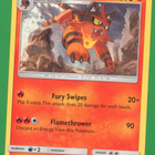 Pokémon Torracat - pikkukuva 1