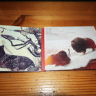 Red Fang : WHALES AND LEECHES - pikkukuva 2
