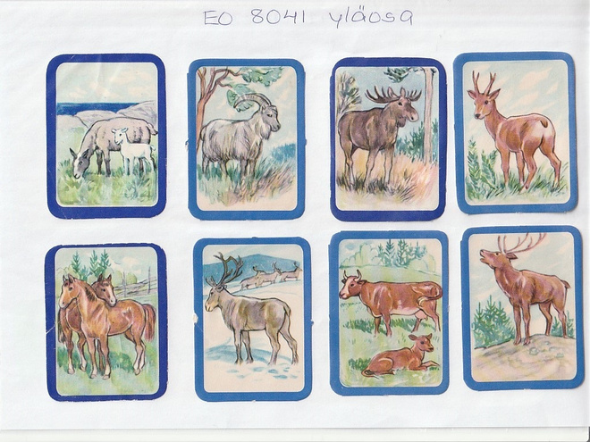 ~ EO 8041, eläin nelkkuja-arkki IRTO-kuvina, yläosa ~