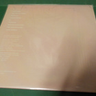 SPIGU - VIIMEINEN PAPUKAIJA UUSI LP - pikkukuva 2